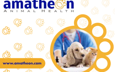 Email Marketing For Animal Health Company