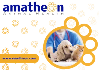 Email Marketing For Animal Health Company