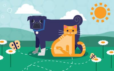 Five Digital Marketing Strategies for Animal Health & Veterinary Pharmaceutical Distributors